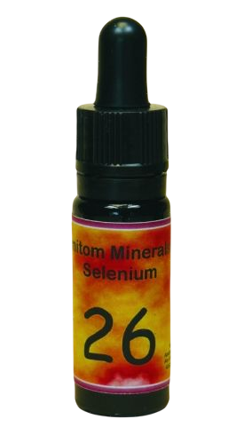 Ramitom No.26