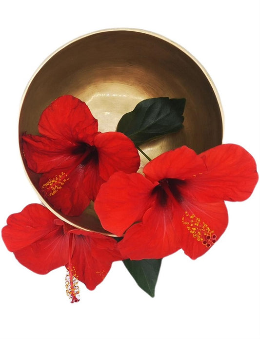 Klangschale matt ø 10,8 cm 310g